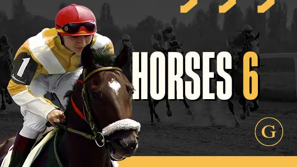 Horse 6 H.Odds - Spin City - Congo